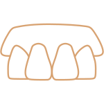 アイコンー入れ歯