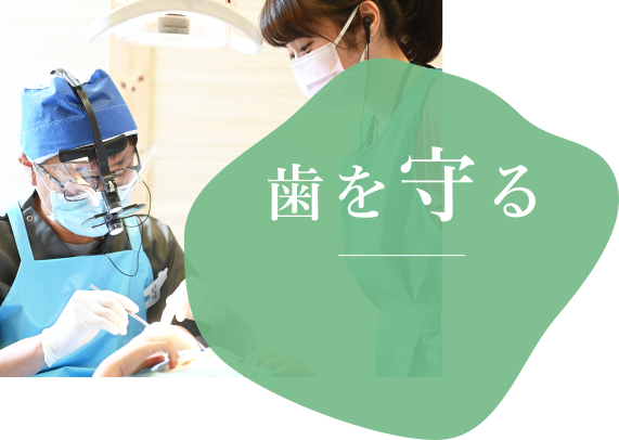 歯を守る